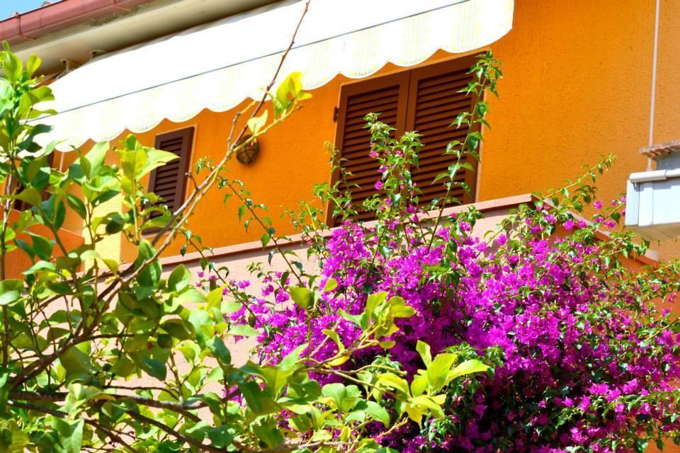 Hotel Anfora Capoliveri  Exterior foto